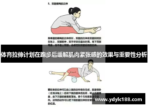 体育拉伸计划在跑步后缓解肌肉紧张感的效果与重要性分析
