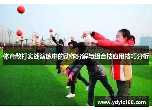 体育散打实战演练中的动作分解与组合技应用技巧分析